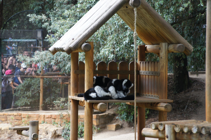 29_juillet_Zoo_2015_019