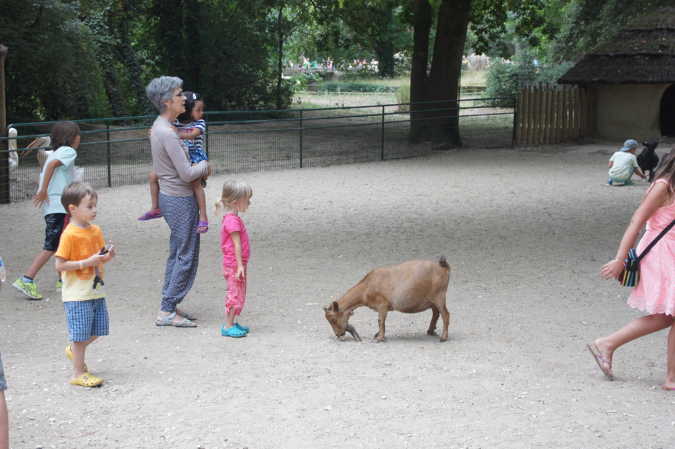 29_juillet_Zoo_2015_059
