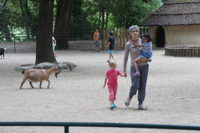 29_juillet_Zoo_2015_060
