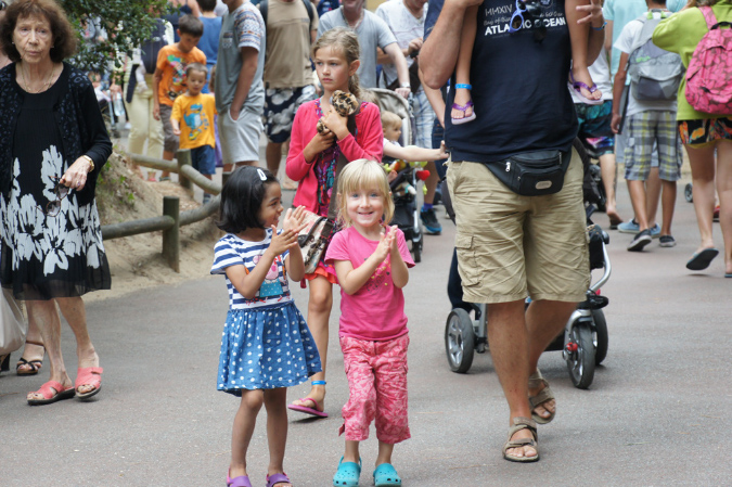 29_juillet_Zoo_2015_061