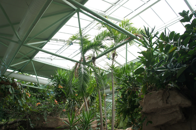 29_juillet_Zoo_2015_082