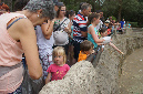 29_juillet_Zoo_2015_051