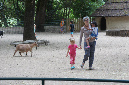 29_juillet_Zoo_2015_060