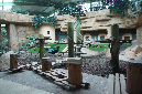 29_juillet_Zoo_2015_071