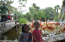 29_juillet_Zoo_2015_100