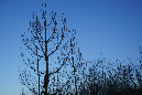 30decembrel_2016_22