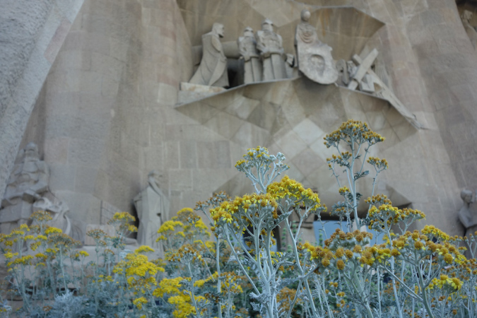 Barcelone_2016_004