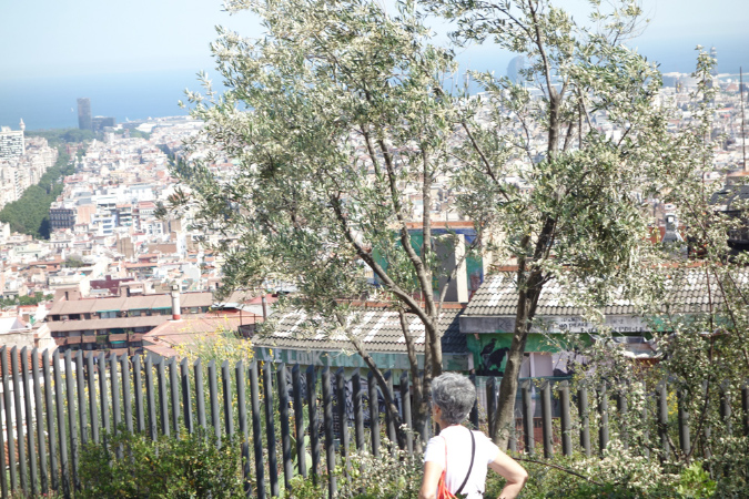 Barcelone_2016_080