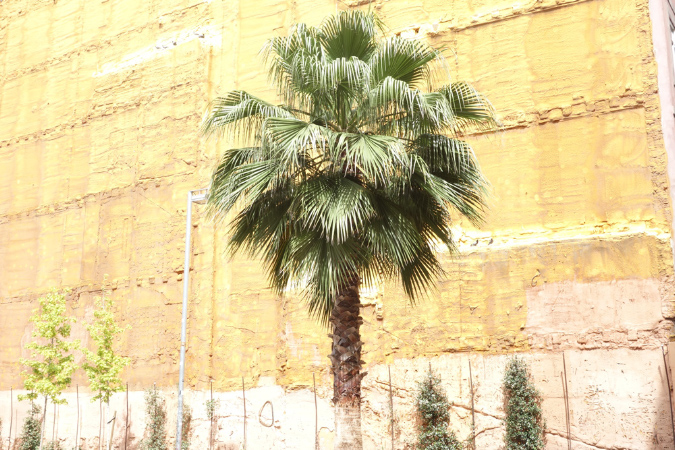 Barcelone_2016_289