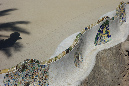 Barcelone_2016_084
