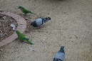 Barcelone_2016_152