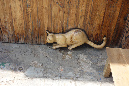 Barcelone_2016_161