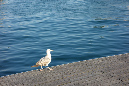Barcelone_2016_209