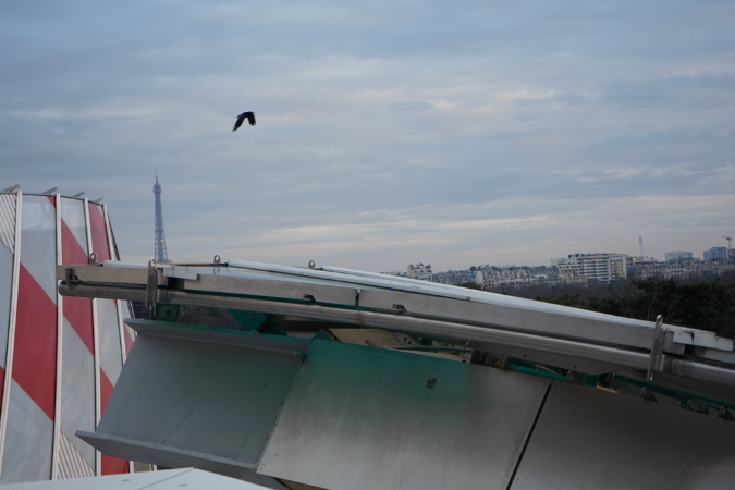 Chtchoukine_decembre2016_41