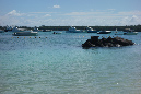 Maurice_2016_049