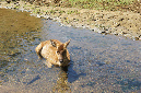 Maurice_2016_104