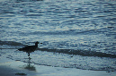 Maurice_2016_163