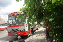 Maurice_2016_216