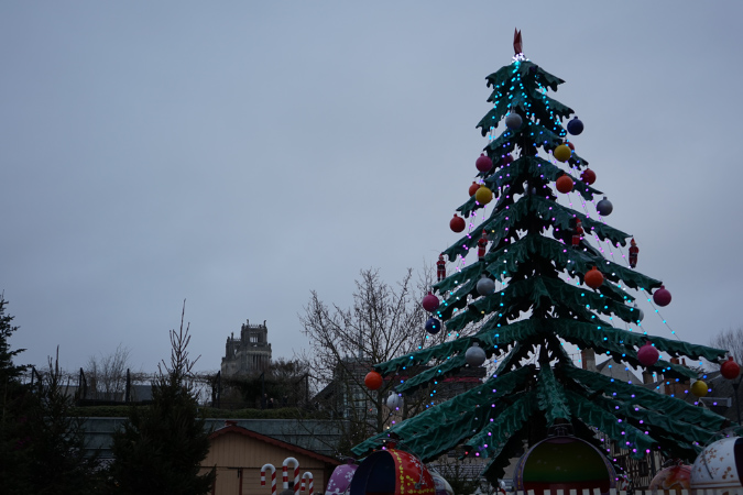 Noel_2016_84