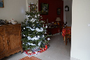Noel_2016_08