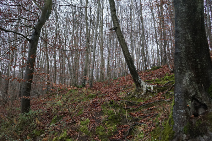 Orry_11decembre2016_23