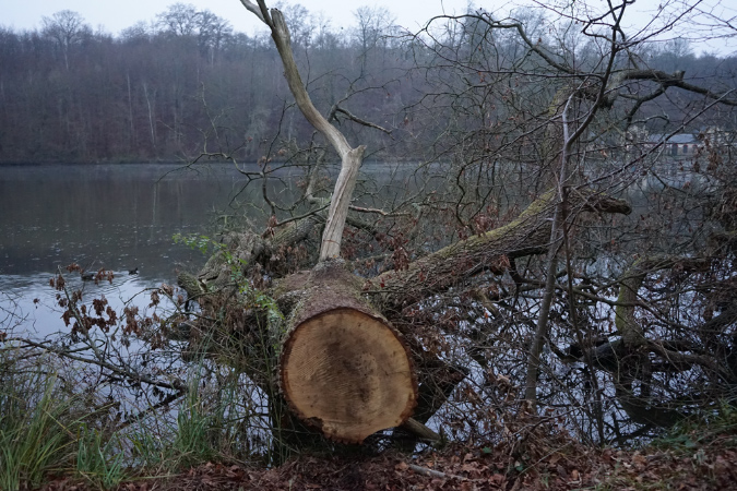 Orry_11decembre2016_51