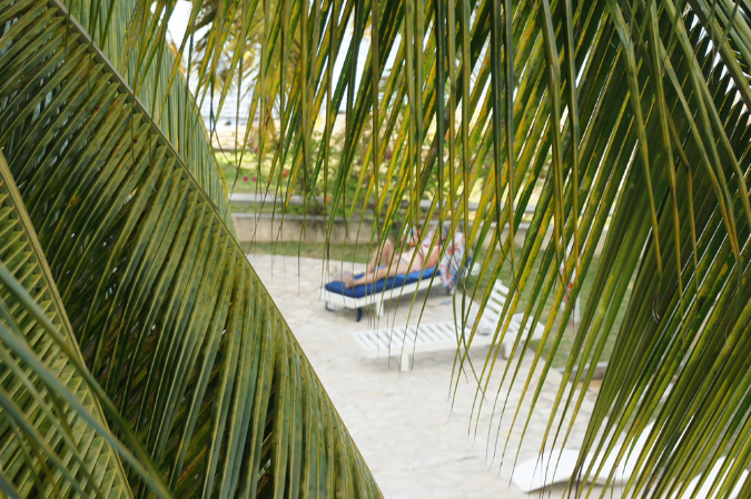 Rodrigues_2016_005