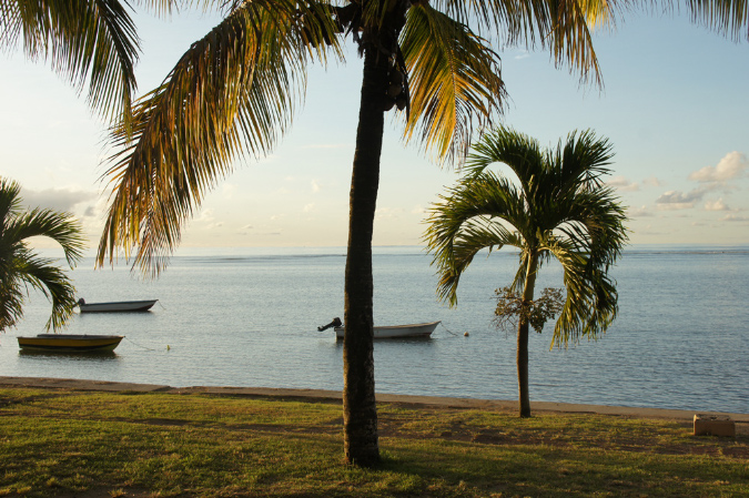 Rodrigues_2016_008