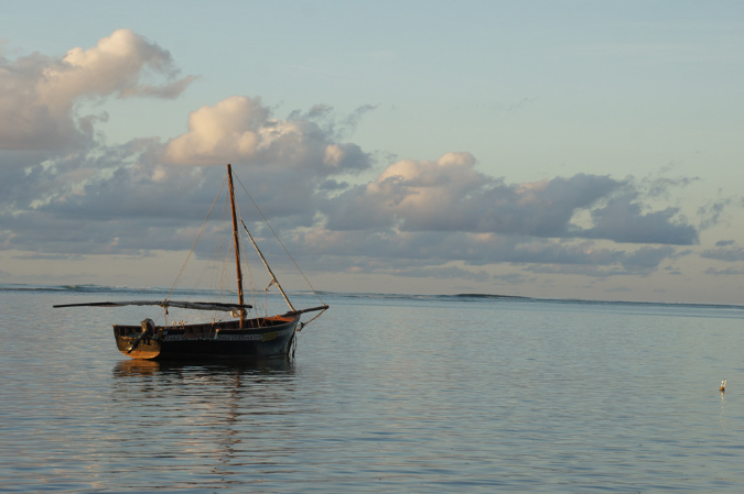 Rodrigues_2016_012