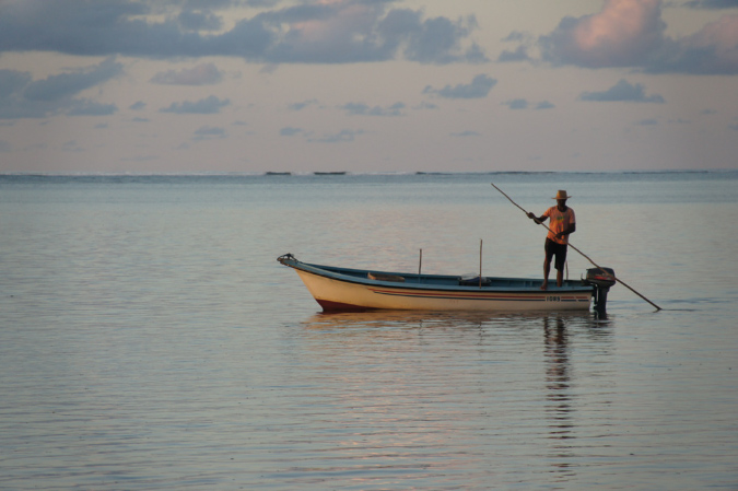 Rodrigues_2016_015