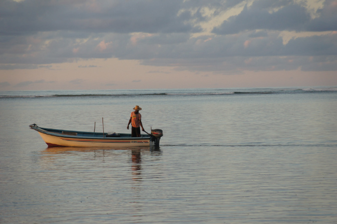 Rodrigues_2016_017