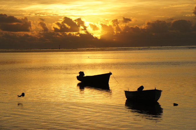 Rodrigues_2016_018