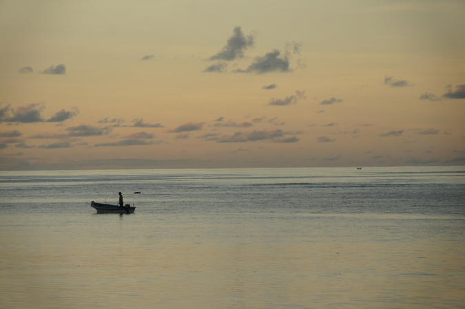 Rodrigues_2016_019