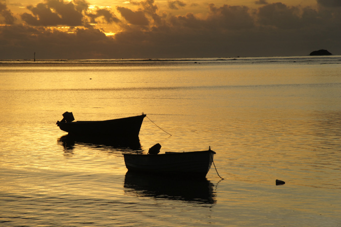 Rodrigues_2016_020