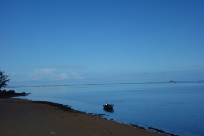 Rodrigues_2016_027