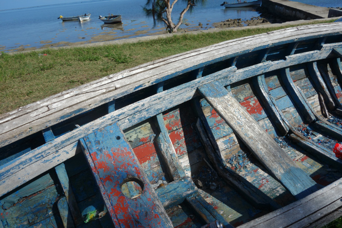 Rodrigues_2016_029