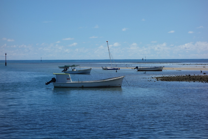 Rodrigues_2016_040