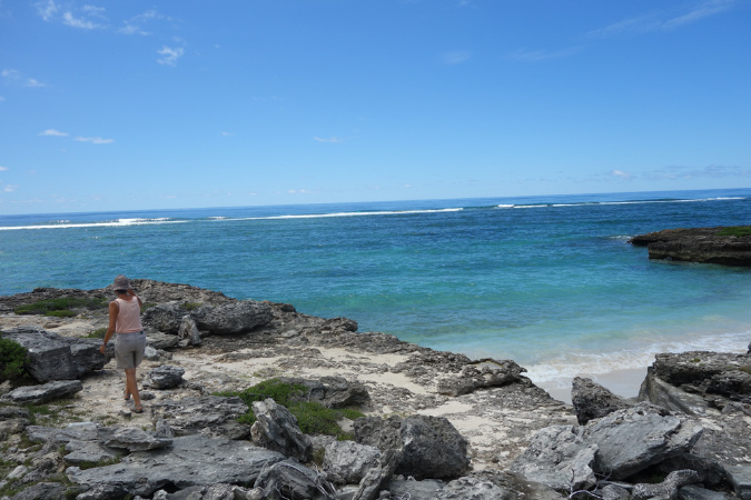 Rodrigues_2016_047