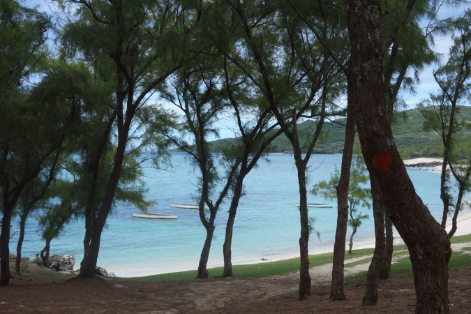 Rodrigues_2016_055