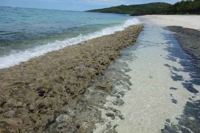 Rodrigues_2016_059