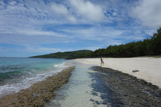 Rodrigues_2016_060