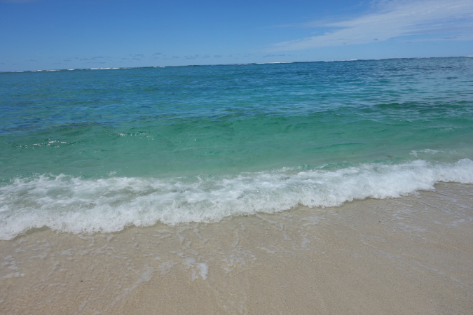 Rodrigues_2016_061