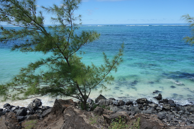 Rodrigues_2016_066