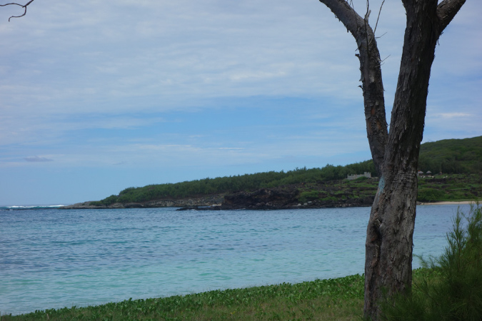 Rodrigues_2016_072