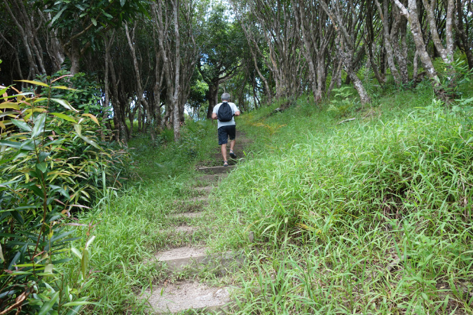 Rodrigues_2016_075