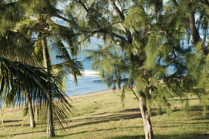 Rodrigues_2016_104