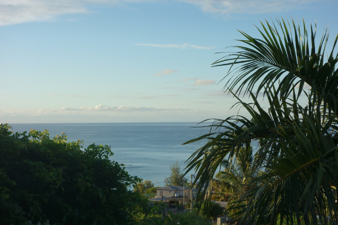 Rodrigues_2016_109