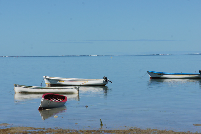 Rodrigues_2016_121