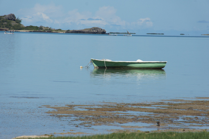 Rodrigues_2016_123