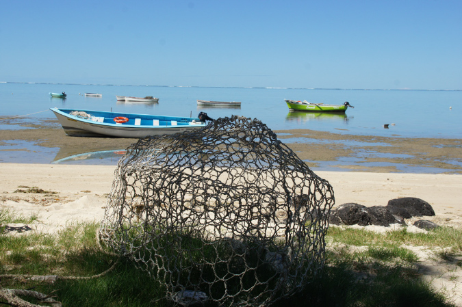 Rodrigues_2016_124